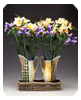 pitcher vases